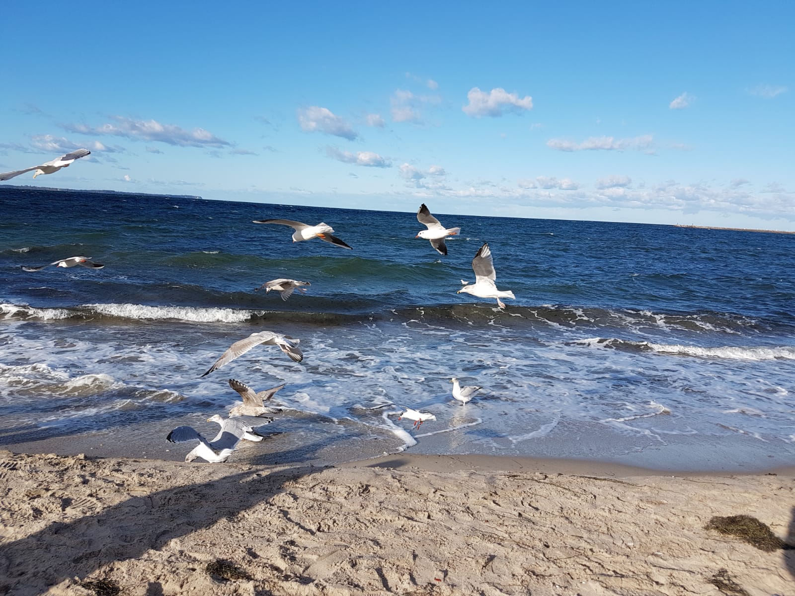 Ferienwohnung in Glowe strandnah